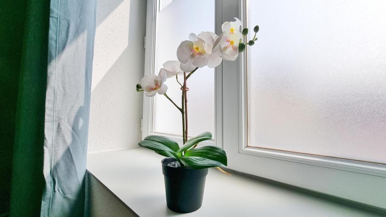 Chez Jm - Calme - Chic - Fibre - Relax Bnb Mulhouse Exteriör bild