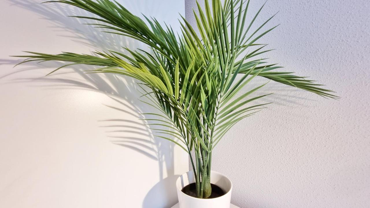 Chez Jm - Calme - Chic - Fibre - Relax Bnb Mulhouse Exteriör bild